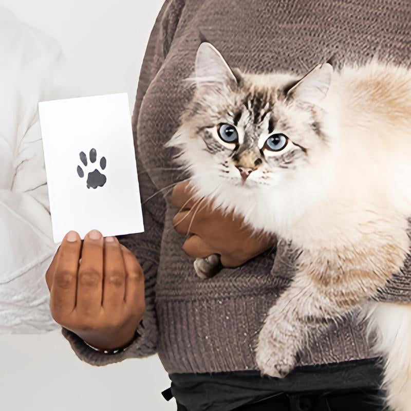 Kit per impronte di zampe di animali domestici