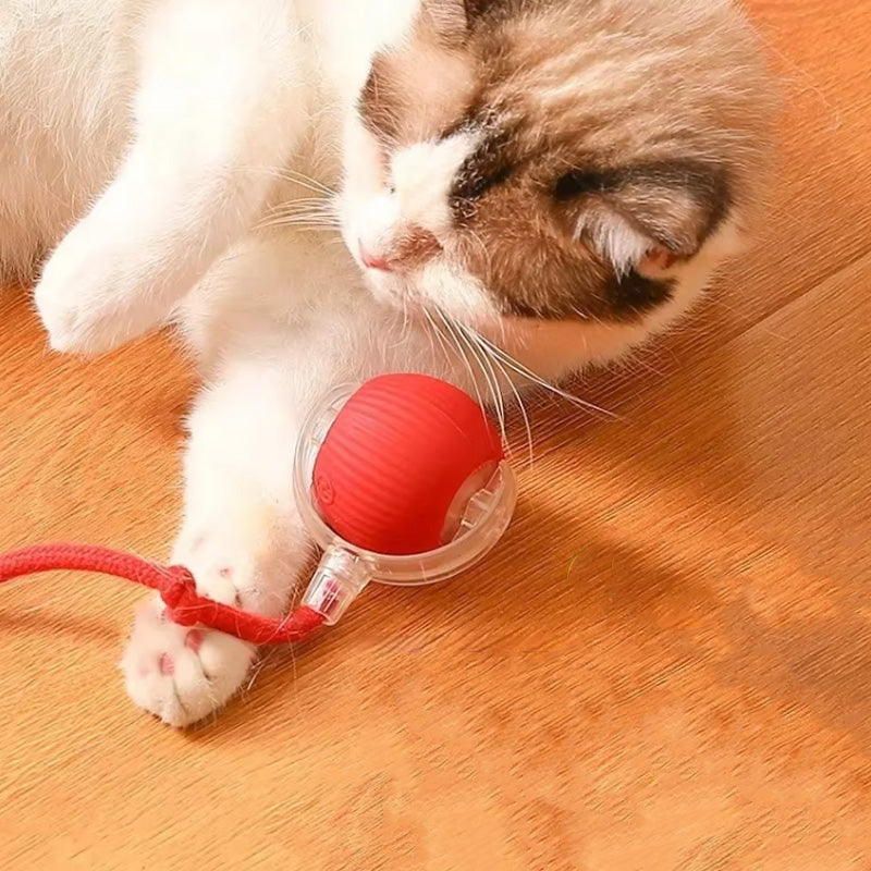 Palla interattiva per gatti da interno